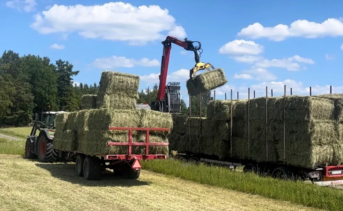 Balar lastas på en vagn under blå himmel