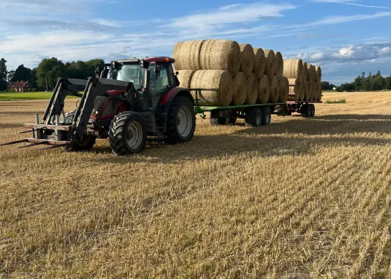 Traktor med vagn lastad med rundbalar på ett skördat fält